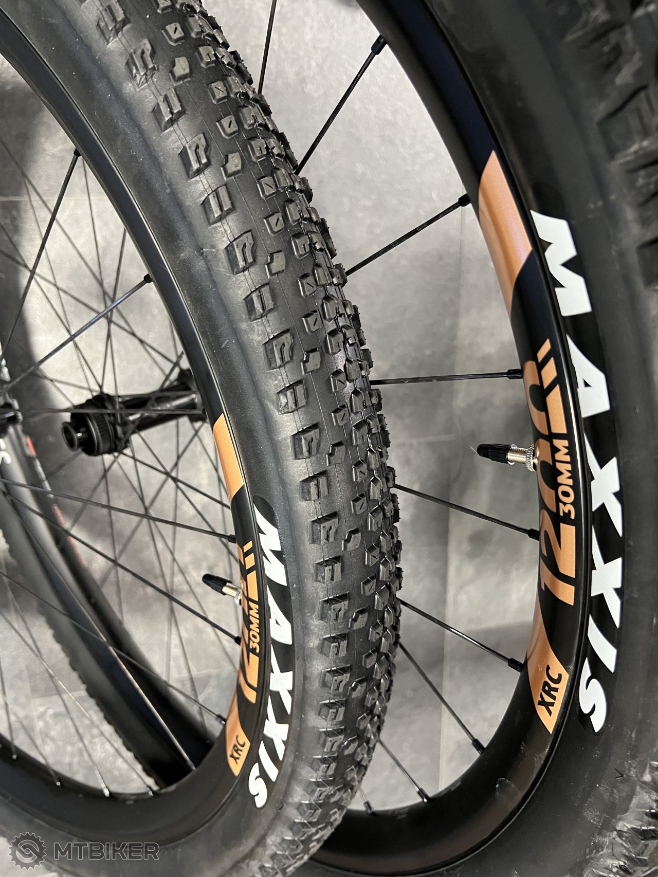 maxxis dt swiss