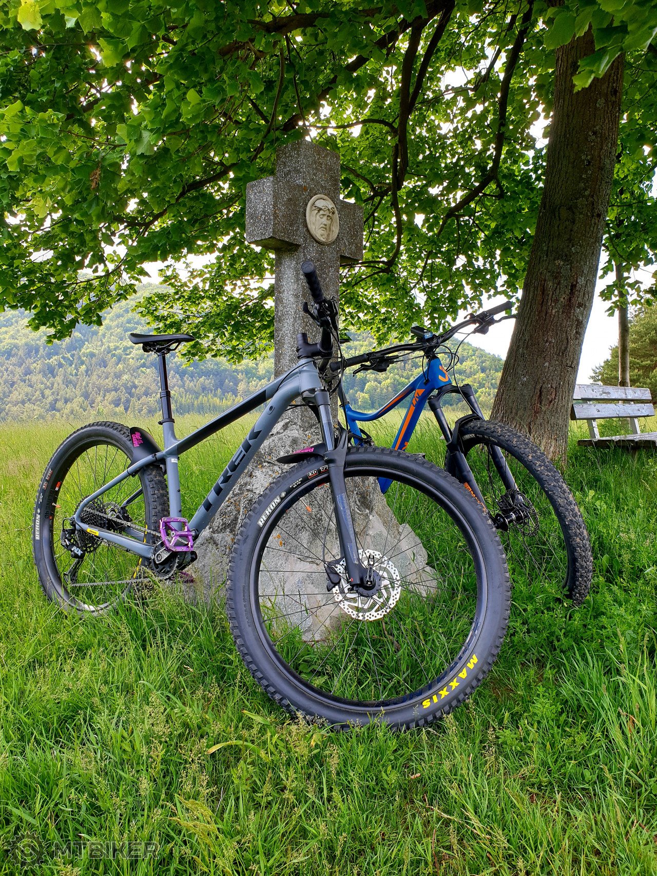 trek roscoe 8 2019 cena