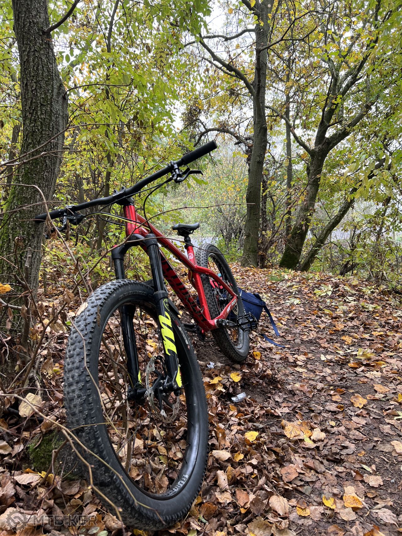 dartmoor hornet 2020 price