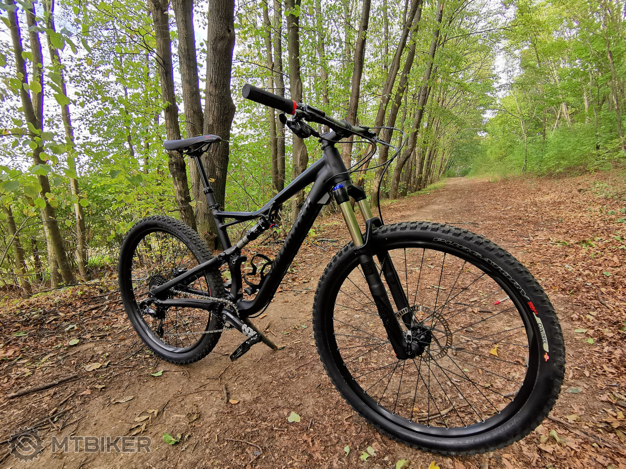 specialized camber 2019