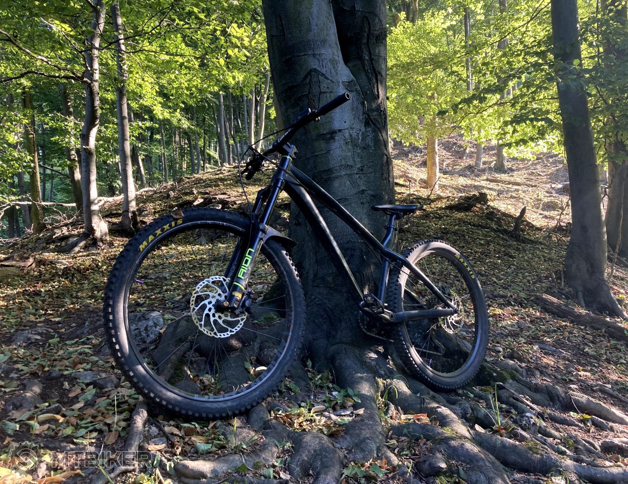 dartmoor hornet 2019 frame