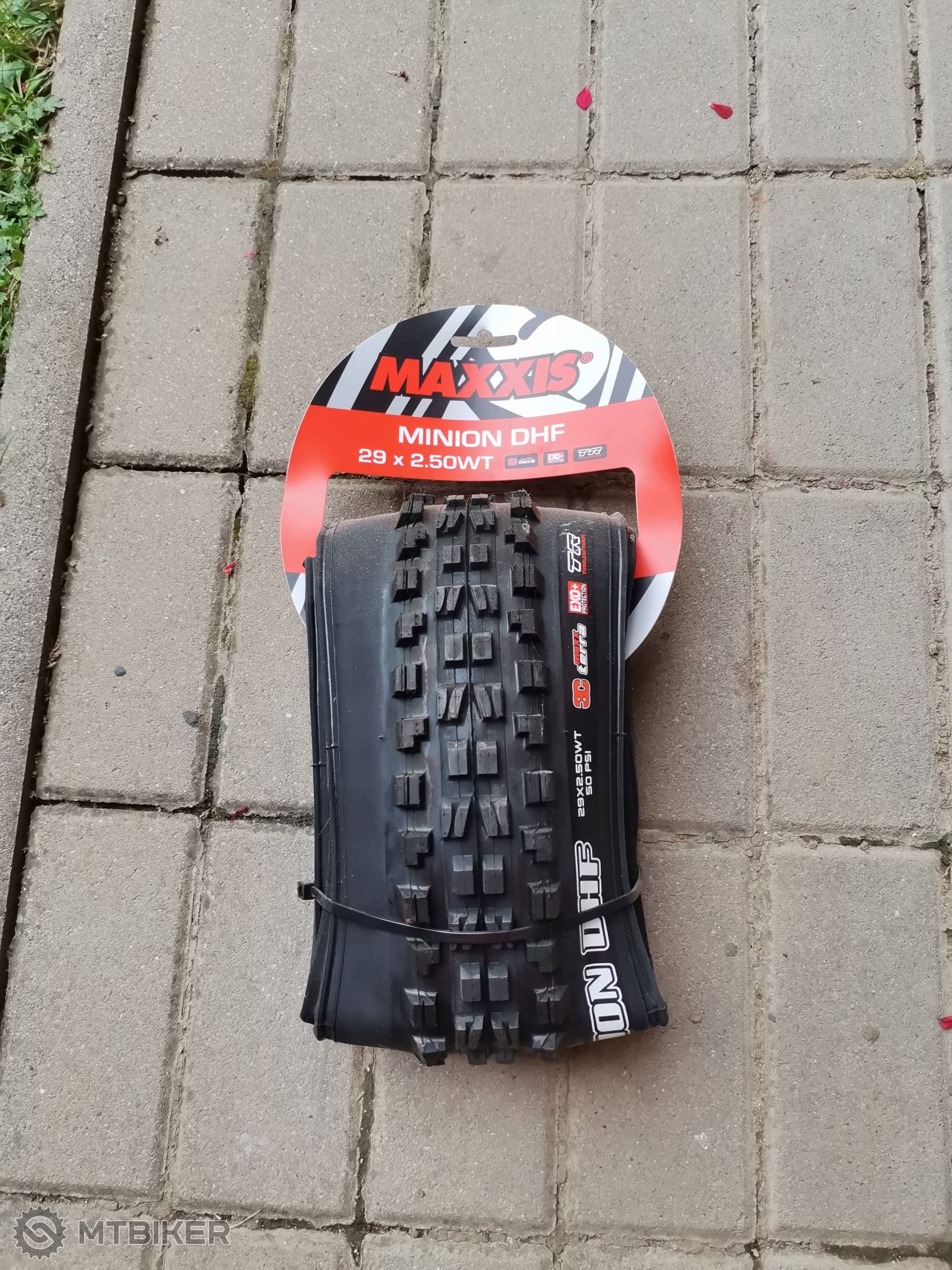 maxxis dhf exo  wt 2.5