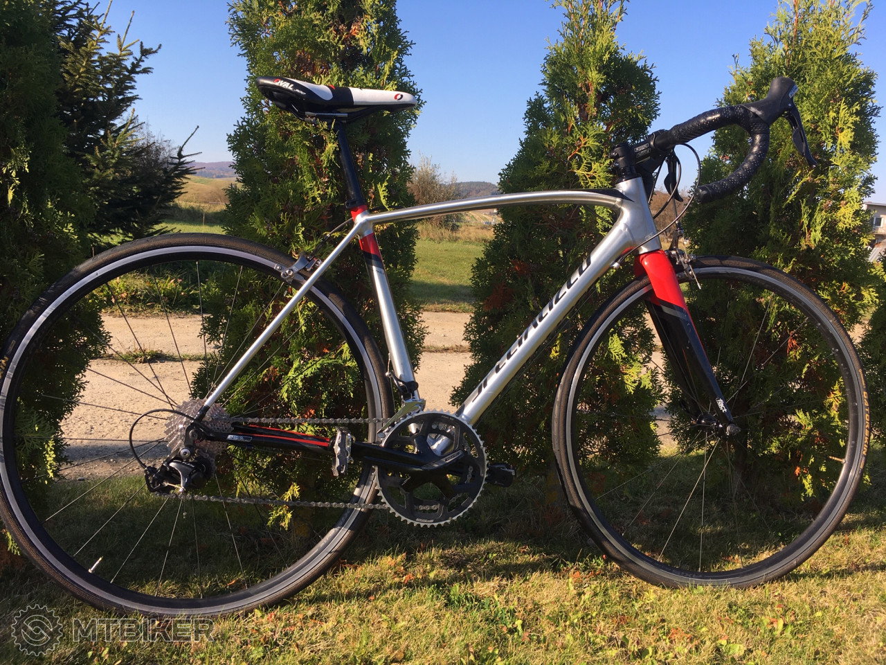 Specialized Allez DSW SL Comp v.54 r. 2016 Rowery szosowe