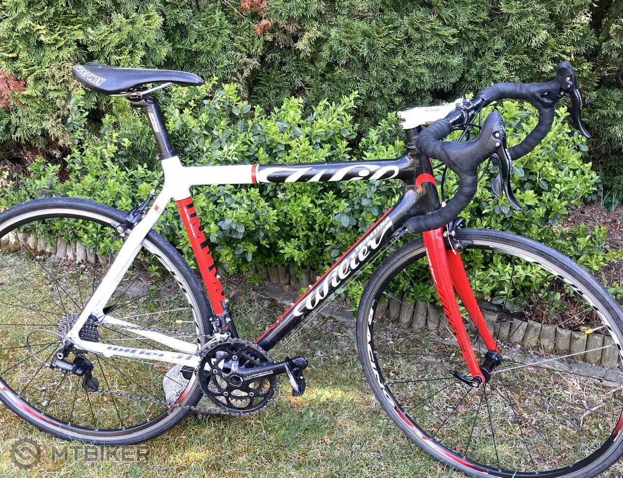 Wilier cheap mortirolo carbon