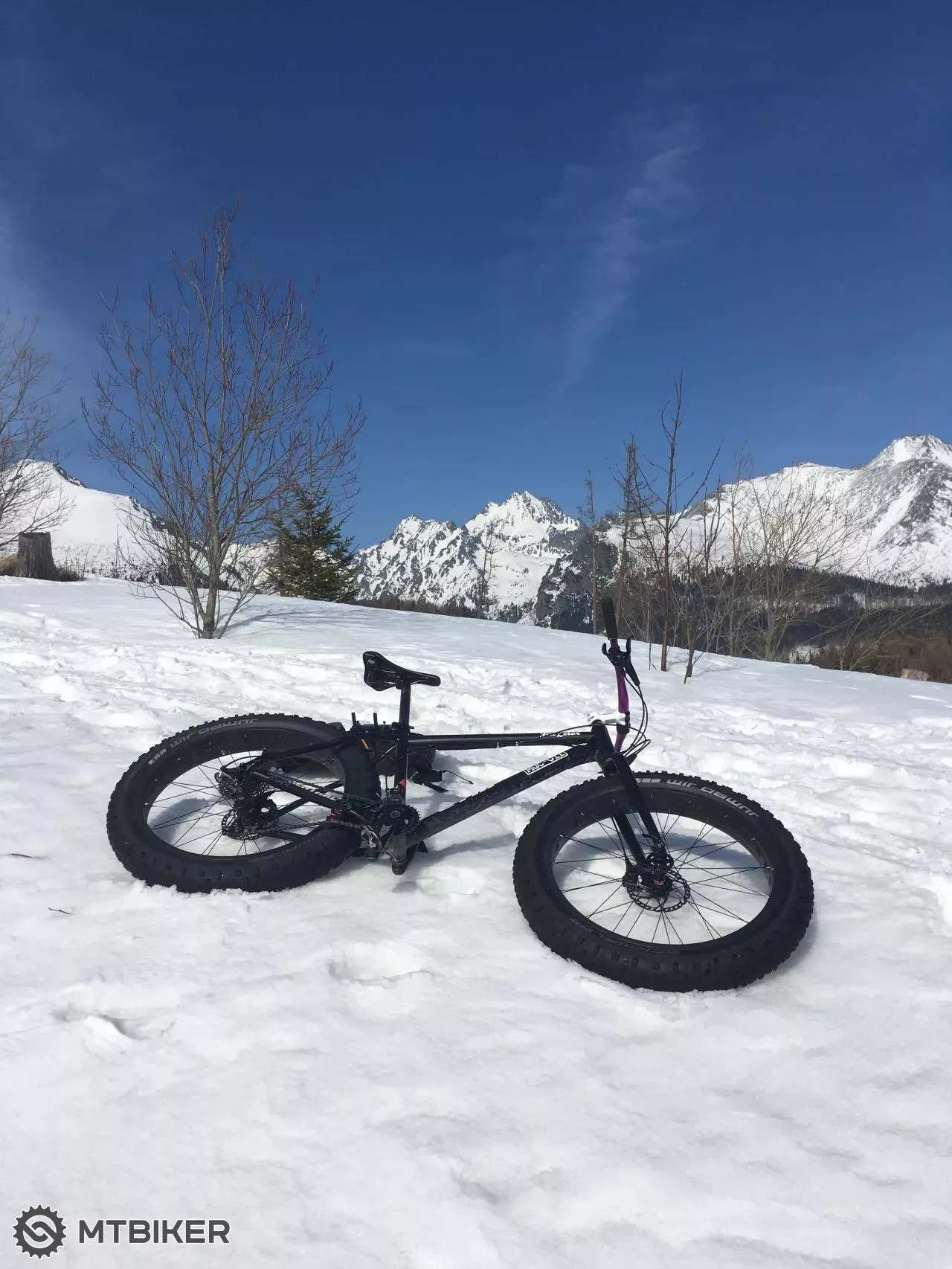 silverback scoop deluxe fatbike