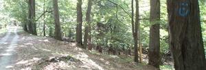 Hornonitrianska MTB Tour Pravenec