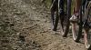 Pravenecké serpentíny MTB XCO