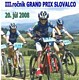 Majstrovstvá Slovenska v XC