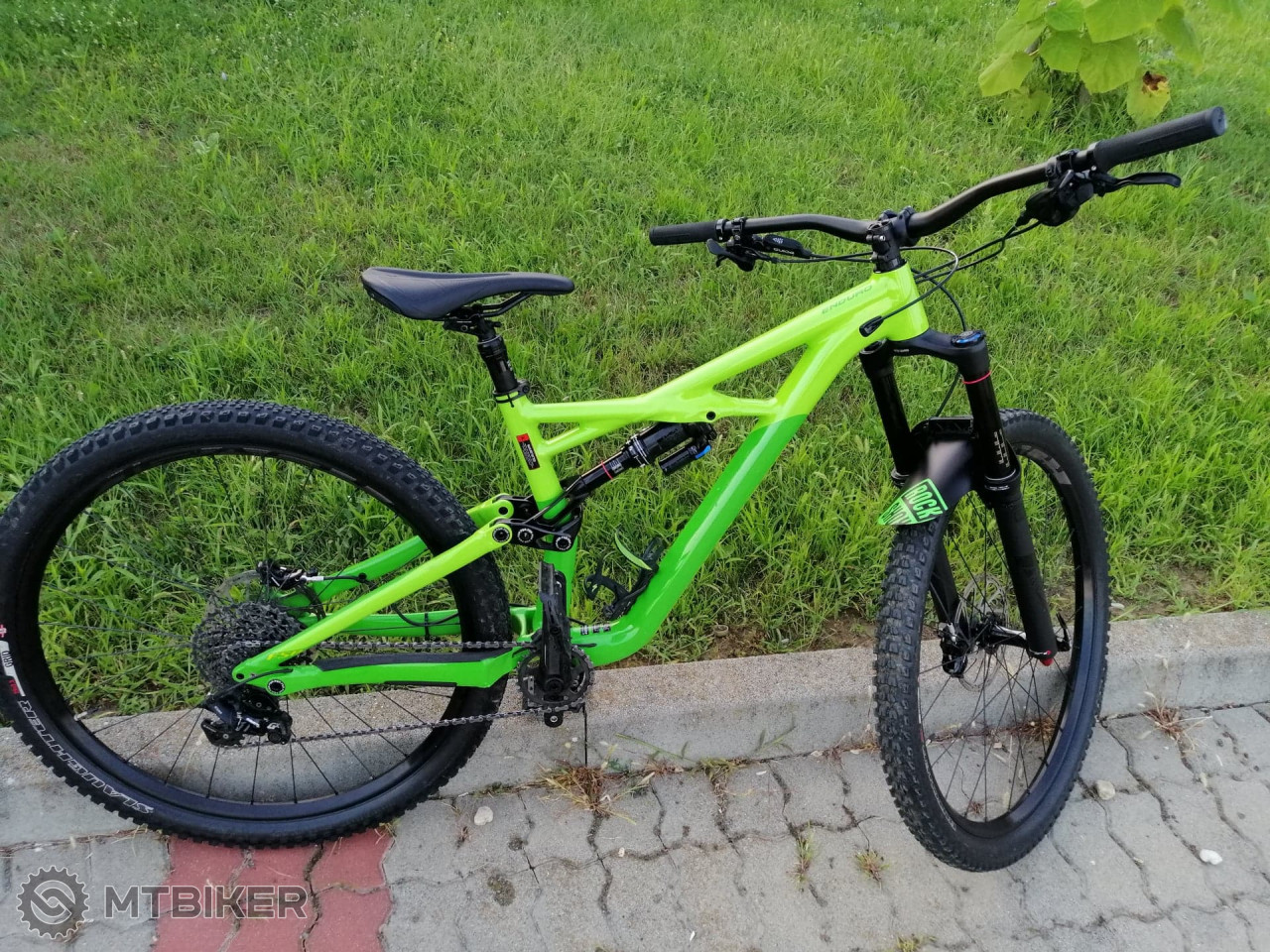 specialized enduro 29