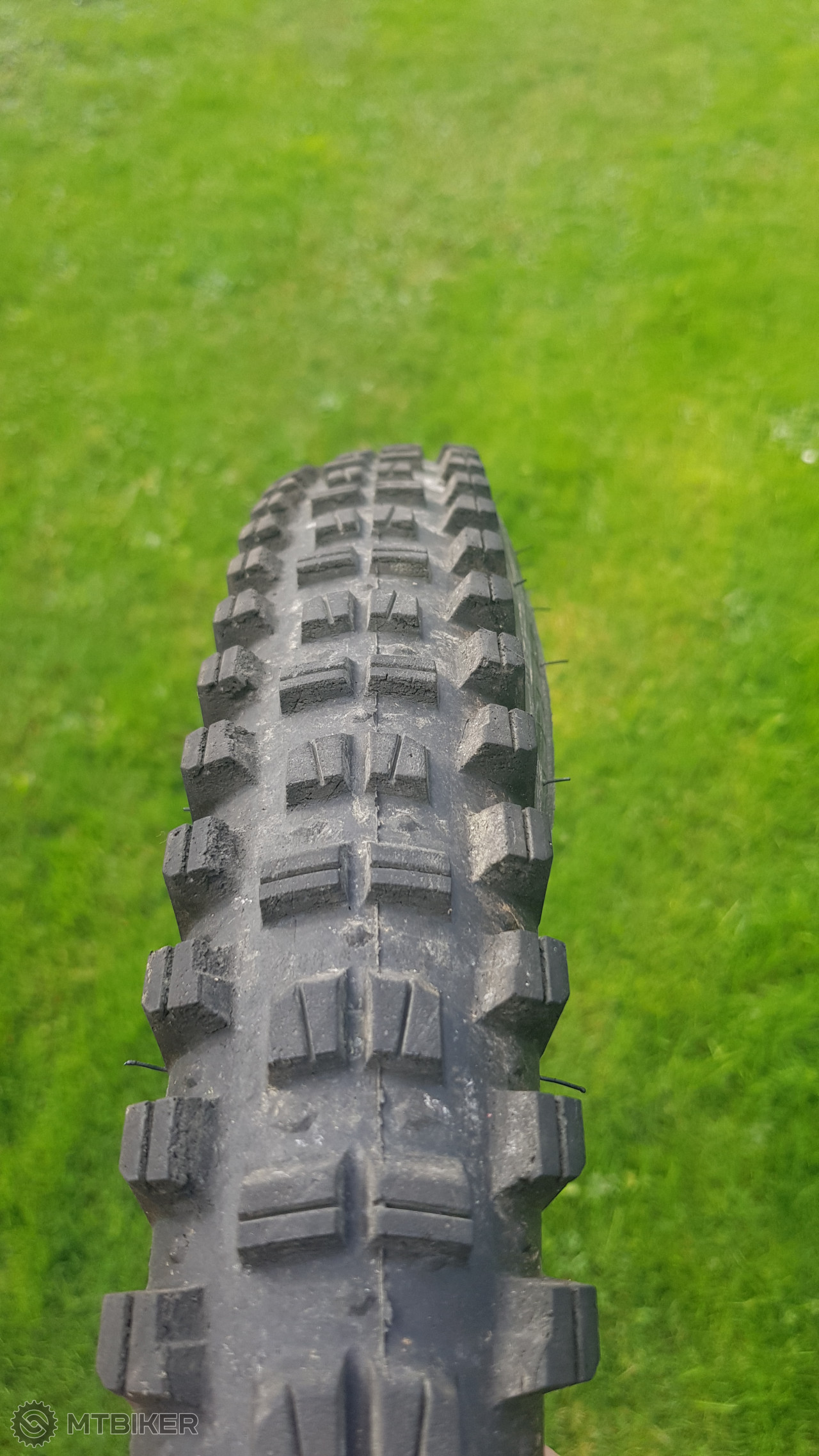 wtb judge 27.5