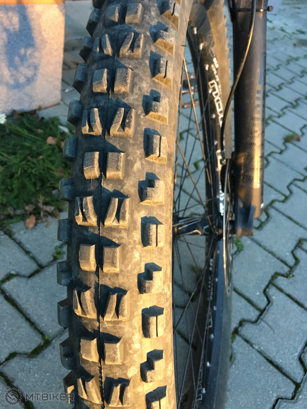 maxxis dhf 26 2.5