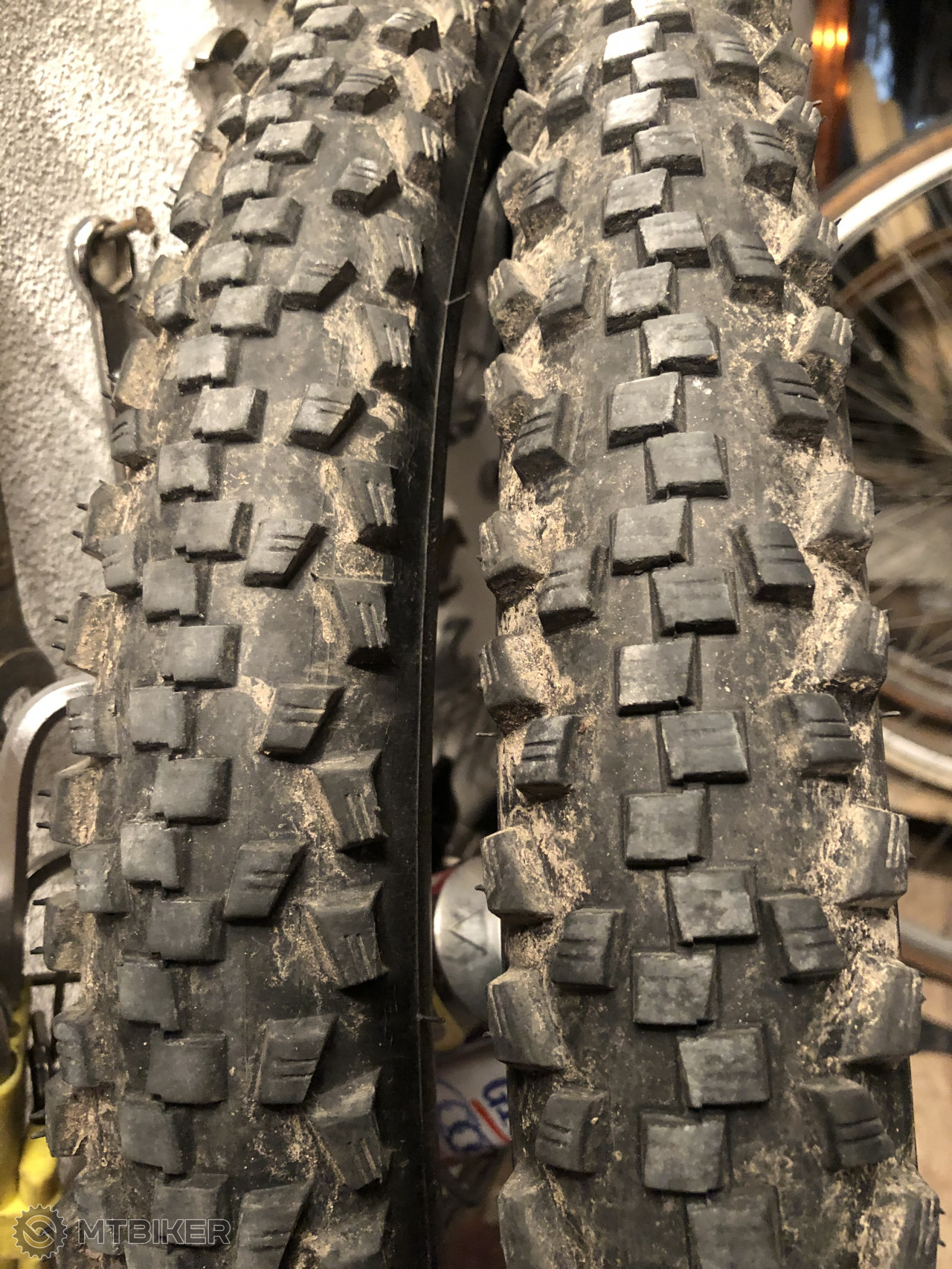 schwalbe 26 black jack