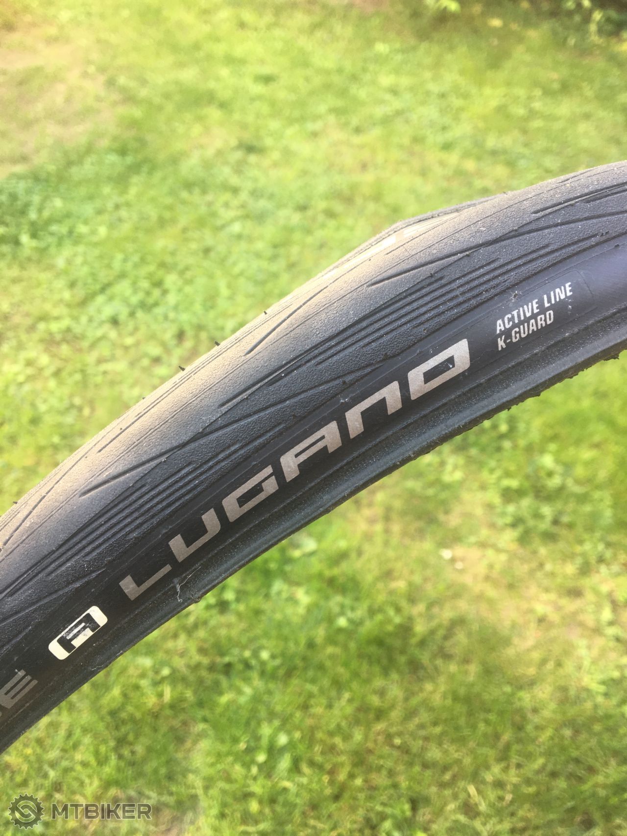 schwalbe lugano