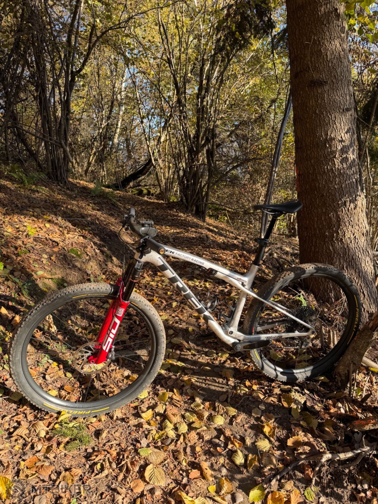 Trek Supercaliber SLR L