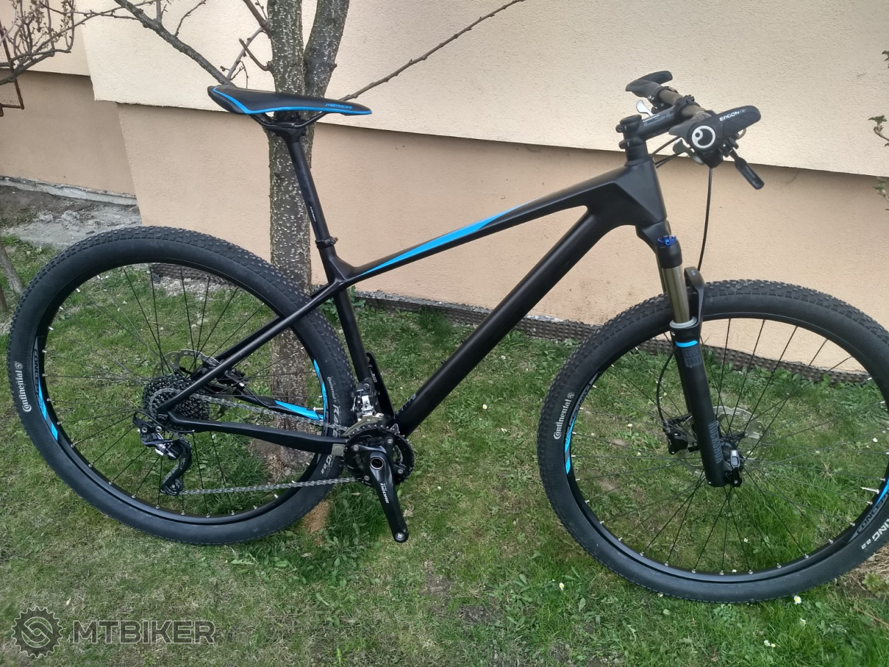 focus 29er