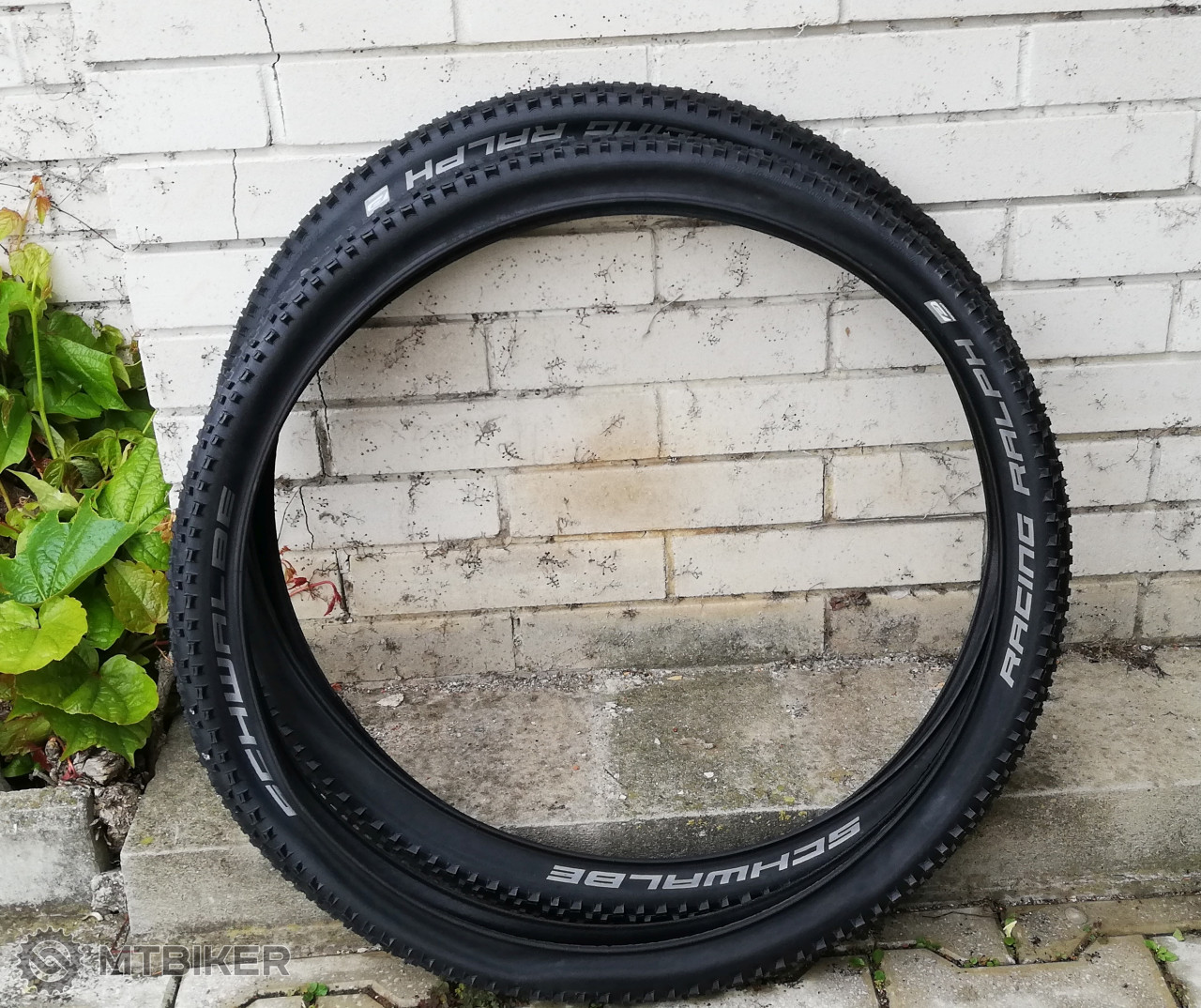 schwalbe racing ralph 27.5 x 2.10