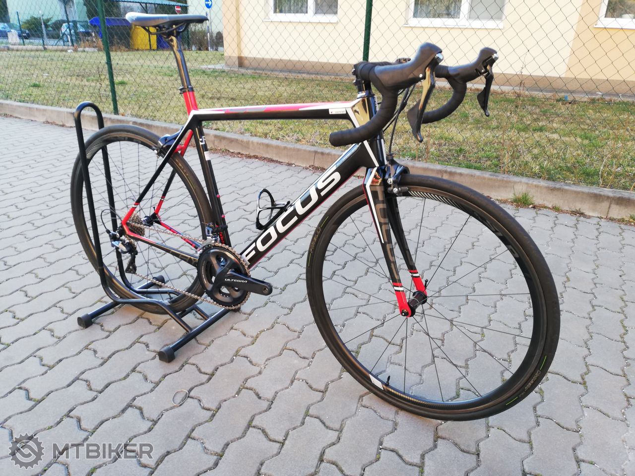 focus cayo carbon ultegra