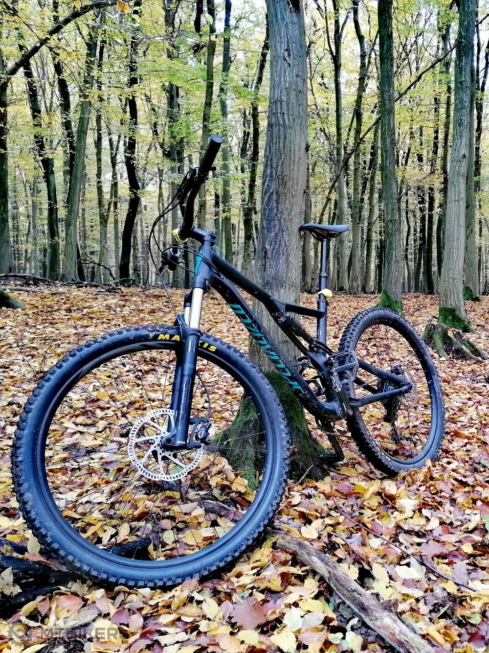 specialized stumpjumper st 29