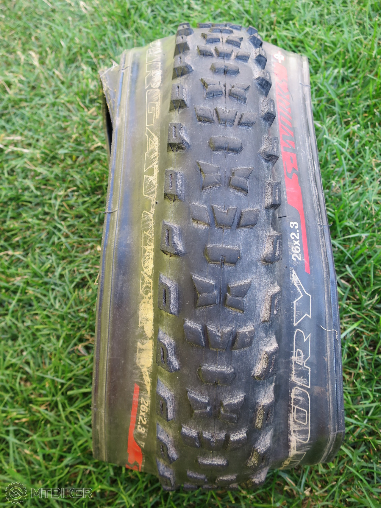 purgatory mtb tire