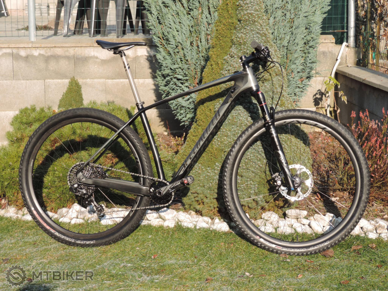 stumpjumper expert carbon 29