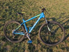 Focus Whistler Evo 29