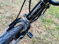 BeerBike trekove mestske kolo Axman s Nexus8 a brzdy Magura