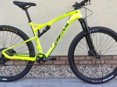 Wilier 101 FX - L