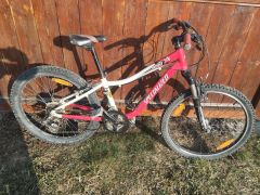 Specialized Hotrock 24