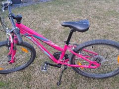 Predam specialized Hotrock 24