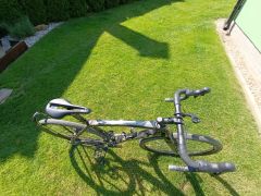 Trek Boone