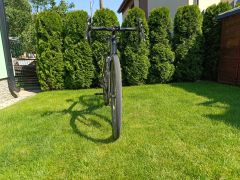 Trek Boone