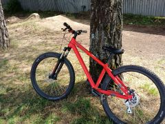 Kellys whip 10