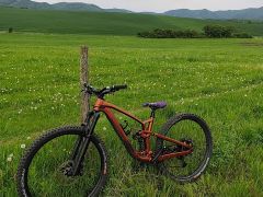 Trek fuel ex 8 gen 6 custom