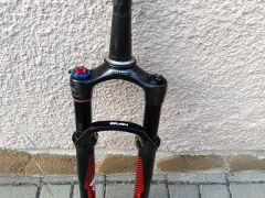 RS Sid brain 29er