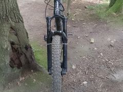 Dartmoor hornet custom