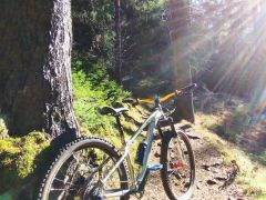 Kona Honzo 22 custom 27.5/29