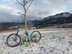 Bergamont Encore 9.0