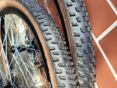 Schwalbe racing ray/racing ralph addix speed TLE