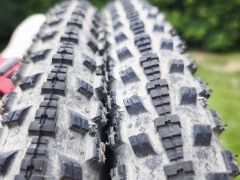 Maxxis crossmark 2