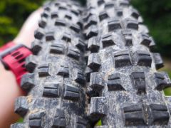 Wtb trail boss