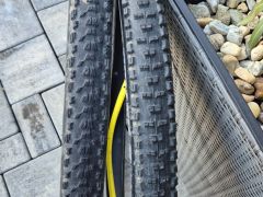 Maxxis High Roller II + Maxxis Ardent
