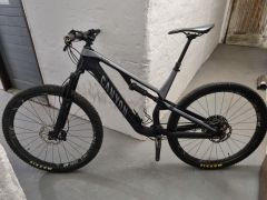 Canyon neuron cf9