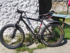 CTM Fat Zetor 2.0 kaktus bike