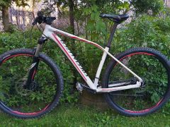Specialized rockhopper comp 29 L