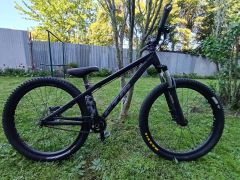 CTM dirtking