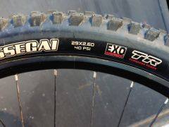 Maxxis assegay 2,60