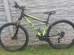 CTM Rein 3.0 29