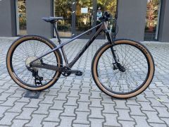 Ktm myronglorius karbon xt