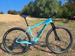 Bianchi Methanol CVS 9.1