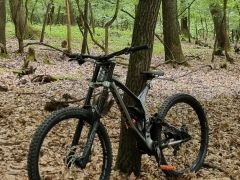 Kellys noid 70